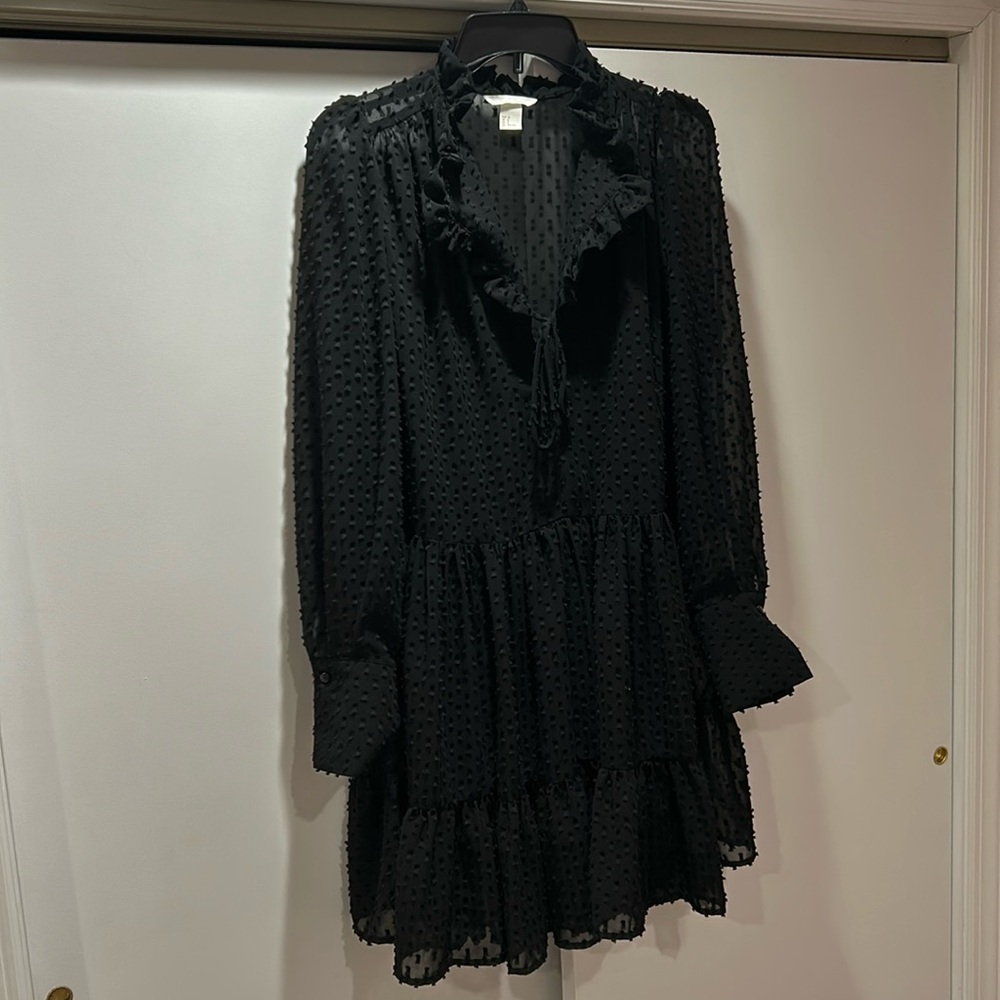 Chic Black Sheer Polka Dot Textured Dress with Ruffles